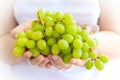 Women`s hands holding a large handful of ripe bunch of grapes