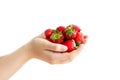 Women`s hands holding a large handful of ripe strawberries Royalty Free Stock Photo