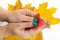 Women& x27;s hands with manicure lacquer green hold a leaf of red maple against the background of autumn leaves. Royalty Free Stock Photo