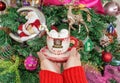 Women`s hands in a red wool sweater holding a mug with a snowman and marshmallow on the background of the Christmas tree. Royalty Free Stock Photo