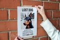 Women's hands sticking an notice about the loss of a dog on a brick wall