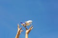 Women`s hands throw white and blue children`s airplane. Blue sky background