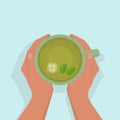 Women`s hands are warming, gently holding a cup of green tea, with chamomile and mint. Royalty Free Stock Photo