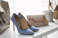 Women`s high heel shoes and accessories in modern clothing boutique, space for text Royalty Free Stock Photo