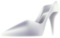 Women`s high-heeled shoe