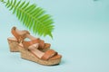 Women`s high-soled sandals with a fern leaf on a blue background. Royalty Free Stock Photo