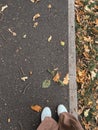 Women\'s legs in beige wide trousers and white sneakers stand on an asphalt path on which autumn leaves lie.