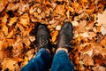 Women's legs in dark shoes standing on a yellow fall maple leaves to autumn park Royalty Free Stock Photo