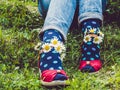 Women`s legs, fashionable shoes and bright socks Royalty Free Stock Photo