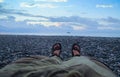 Women`s legs in pants and sandals on bare feet on the sunset zone above the sea lie on the beach Royalty Free Stock Photo
