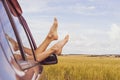 Women`s legs stick out of the car window, against the background of a wheat field. Royalty Free Stock Photo