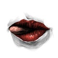 Women`s lips