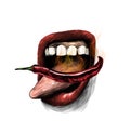 Women`s lips wide open mouth with tongue sticking out on the tongue lies red hot pepper and from it comes flames