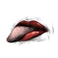 Women`s lips