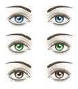 Women`s luxurious eyes with perfect eyebrowes and full lashes Royalty Free Stock Photo