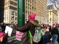 Women`s March Crowd, NYC, NY, USA