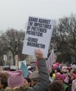 Women`s March, Guard Against the Impostures, George Washington, Unique Signs and Posters, Washington, DC, USA