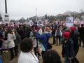 Women`s March, Media Documenting the Event, Trump Puts the Twit in Twitter, Protesters on the National Mall, Washington, DC, USA Royalty Free Stock Photo