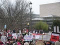 Women`s March, Protest Crowd, Bridges Not Walls, Immigration, Signs and Posters, Washington, DC, USA