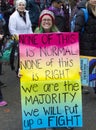 Women`s March on Washington Royalty Free Stock Photo