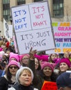 Women`s March on Washington Royalty Free Stock Photo