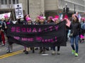 Women`s March on Washington Royalty Free Stock Photo