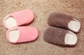 Women`s and men`s slippers standing on the carpet. Two pairs of house shoes Royalty Free Stock Photo