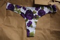 Panties flower printed, mauve roses on white background Royalty Free Stock Photo