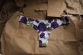 Panties flower printed, mauve roses on white background Royalty Free Stock Photo