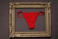 red panties in a wooden photo frame Royalty Free Stock Photo