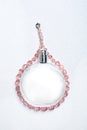 Women's perfume and a necklace Royalty Free Stock Photo