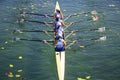 Women`s quadruple rowing team on green lake