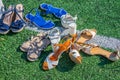 Women`s shoes on a grass Royalty Free Stock Photo