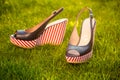 Women's shoes, sandals in nature, blue sandals