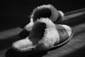 Women`s slippers with a sheepskin on a wooden floor. Black and white photo