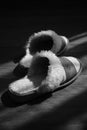 Women`s slippers with a sheepskin on a wooden floor, bw photo