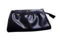 Women`s small leather hand wallet front view