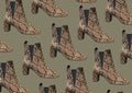 Women`s Snakeskin Cowboy Boots isolated on green background. Snake Cowboy Ankle Boots pattern. Close View Of Fashion Royalty Free Stock Photo