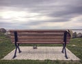 Women`s straw hat hanging on wooden park bench and shoes beside it Royalty Free Stock Photo