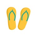 Women`s summer flip-flops.