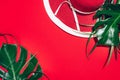 Women`s summer red hat, tropical palm and monstera leaves on paper background with copy space. Top view, flat lay. Summer travel Royalty Free Stock Photo