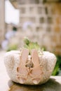 Women`s summer sandals on a flower pot made of stone. Royalty Free Stock Photo
