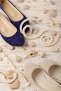 Women`s summer shoes for beach holidays. Royalty Free Stock Photo