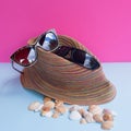 A women`s sunglasses over a large sea-bream and several smaller Royalty Free Stock Photo