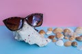 A women`s sunglasses over a large shell and several smaller shel Royalty Free Stock Photo