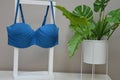 Women\'s swimsuit. A bright blue turquoise bra on a stand next to a green indoor flower. Beachwear
