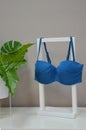Women\'s swimsuit. A bright blue turquoise bra on a stand next to a green indoor flower. Beachwear