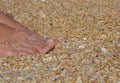 Women`s tanned legs on the sea sand Royalty Free Stock Photo