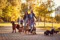 Women`s walker enjoying with dogs while walking outdoors