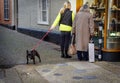 Women's window shopping in England